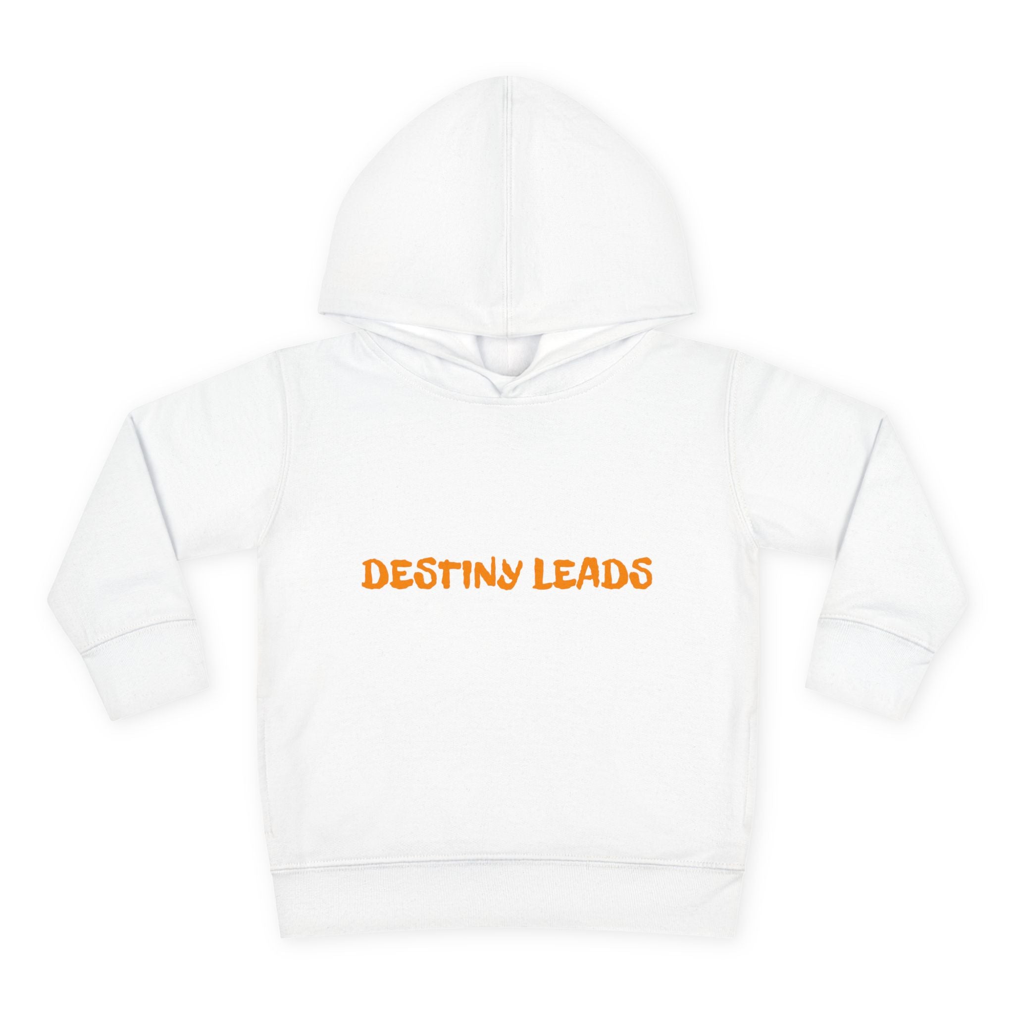 Toddler Hoodie — "Destiny Leads" Flame Eclipse Kids Pullover